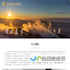 聊城市东元资产经营有限公司