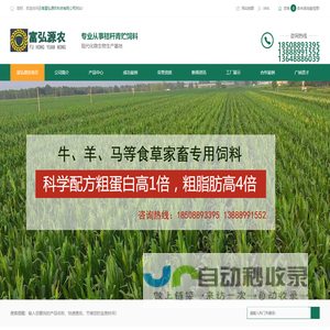 云南秸秆,云南青储饲料,秸秆饲料,昆明秸秆饲料,云南包谷杆,云南富弘源农科技有限公司