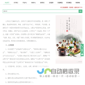 网站首页