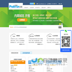 专业的云计算、动态域名服务提供商 - 公云PubYun