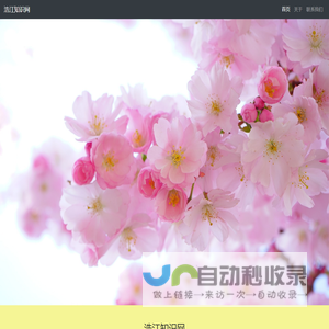 浩江知识网