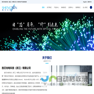 胜芯光电科技（浙江）有限公司