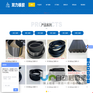 河南双力橡胶股份有限公司