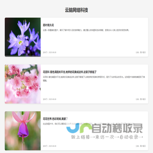 云脑网络科技