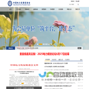 中国电力发展促进会