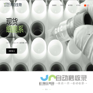 中加外语班