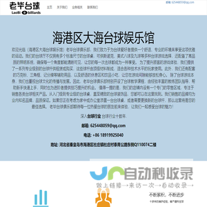 老毕台球